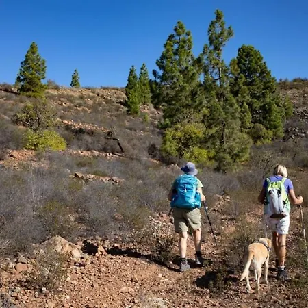 Estrella Alpehytte Costa Adeje (Tenerife)
