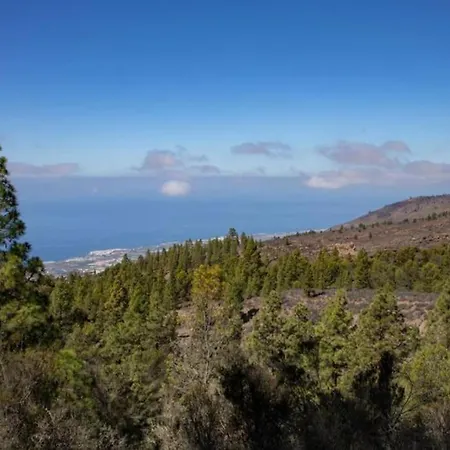 Alpehytte Estrella